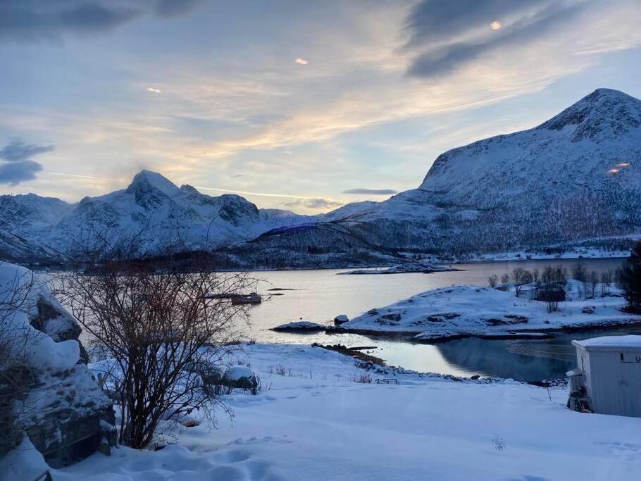 Sjarmerende Anneks I Sigerfjord, Vesteralen Сортланн Экстерьер фото